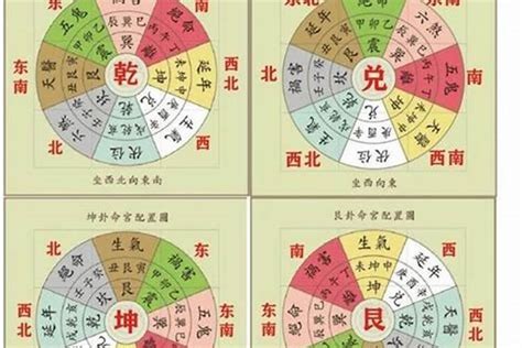 撞到狗預兆|撞狗預兆：吉凶解析2024